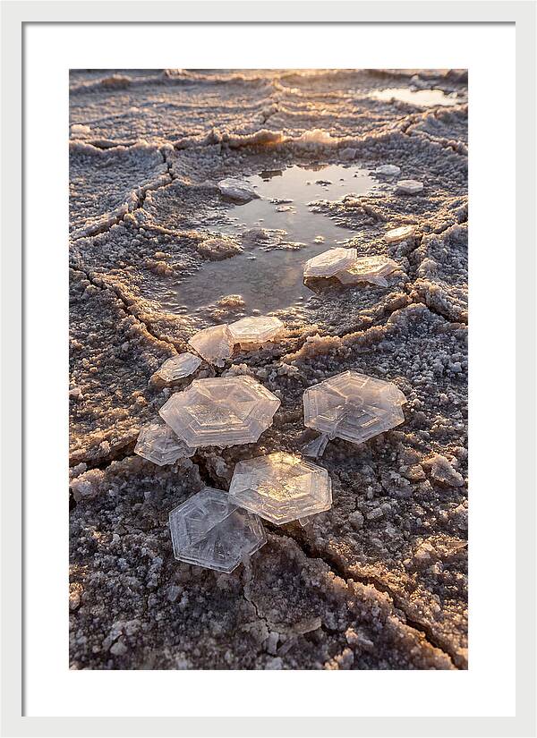 Salt Flat Crystals