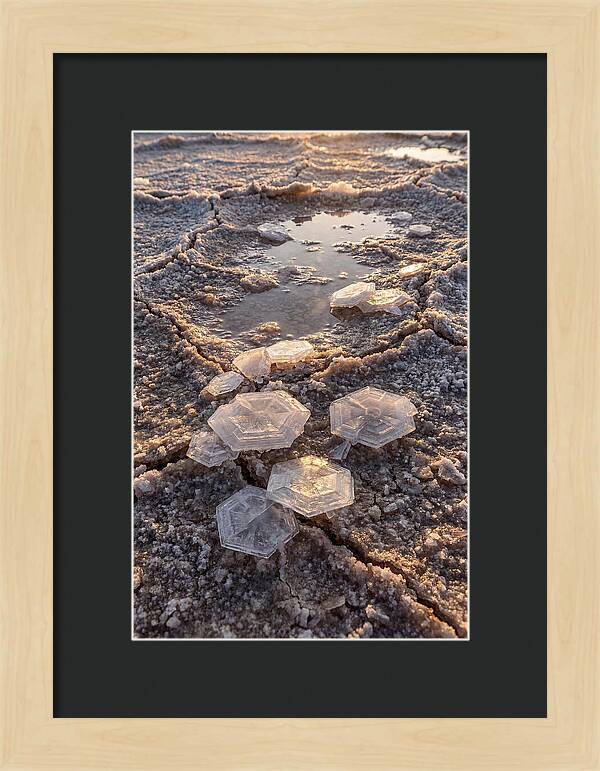Salt Flat Crystals