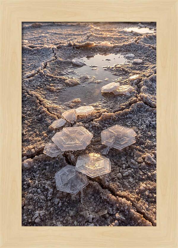 Salt Flat Crystals