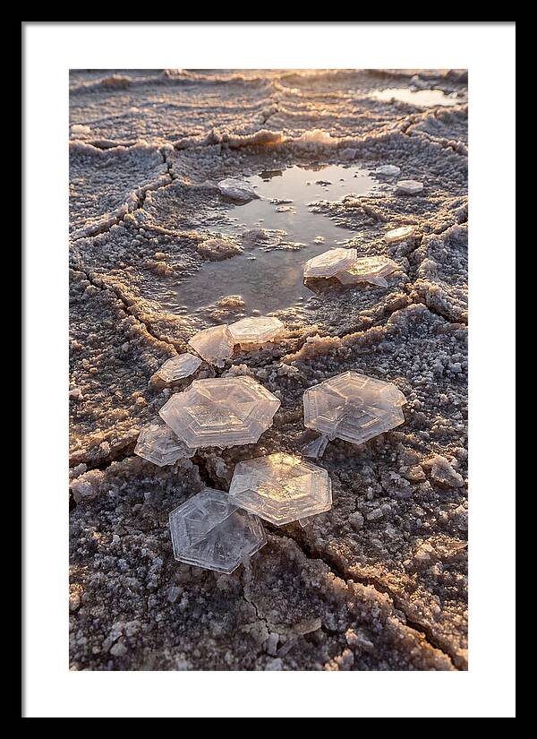 Salt Flat Crystals