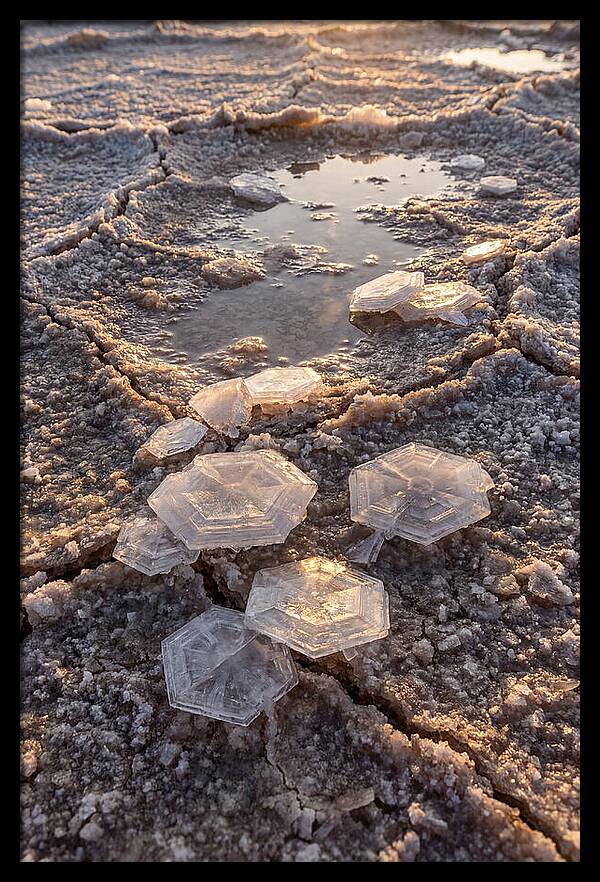 Salt Flat Crystals