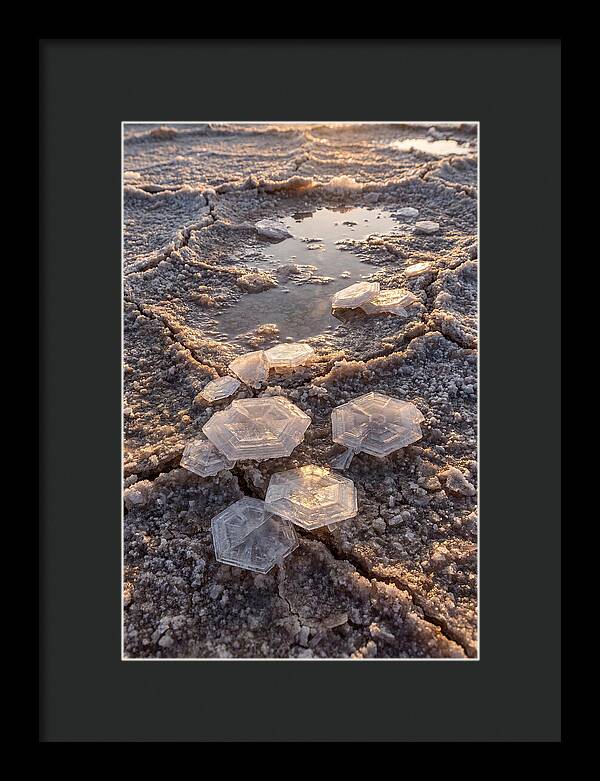 Salt Flat Crystals