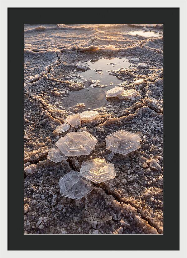 Salt Flat Crystals