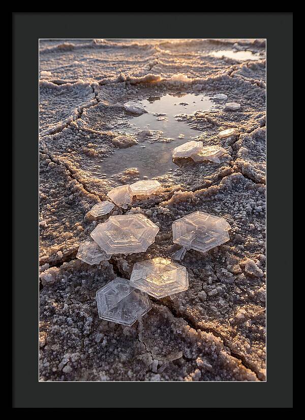 Salt Flat Crystals