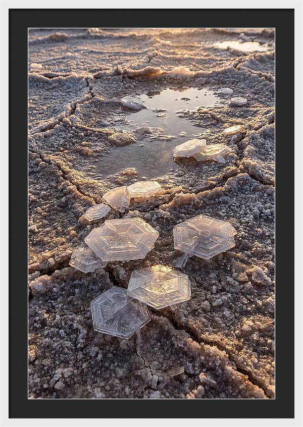 Salt Flat Crystals