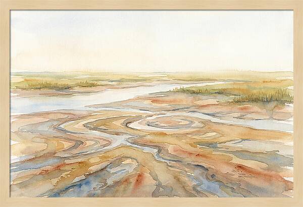 Salt Marsh Creek At Low Tide