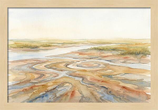 Salt Marsh Creek At Low Tide