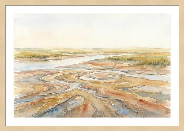 Salt Marsh Creek At Low Tide