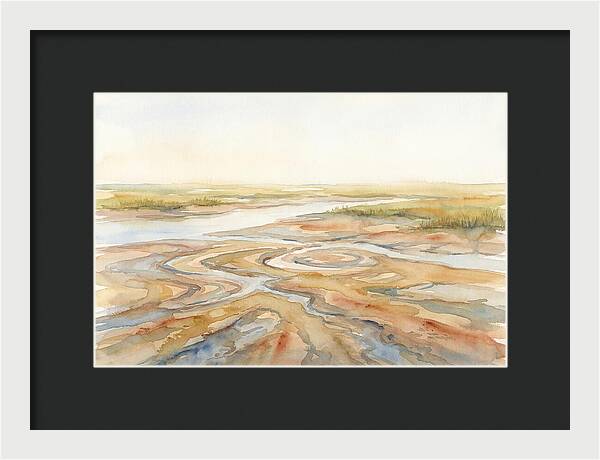 Salt Marsh Creek At Low Tide