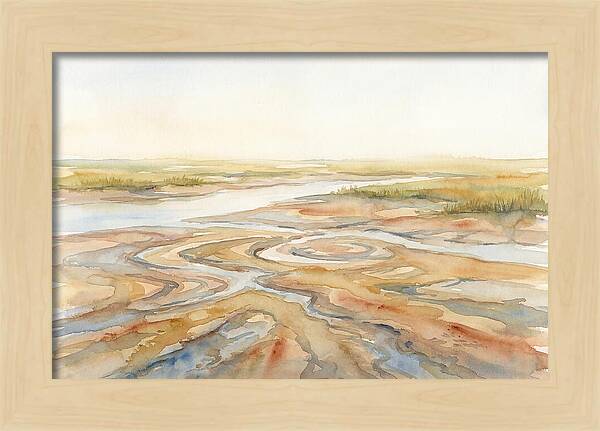 Salt Marsh Creek At Low Tide