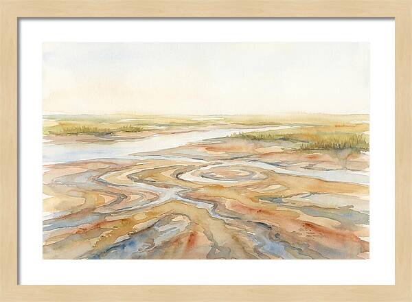 Salt Marsh Creek At Low Tide