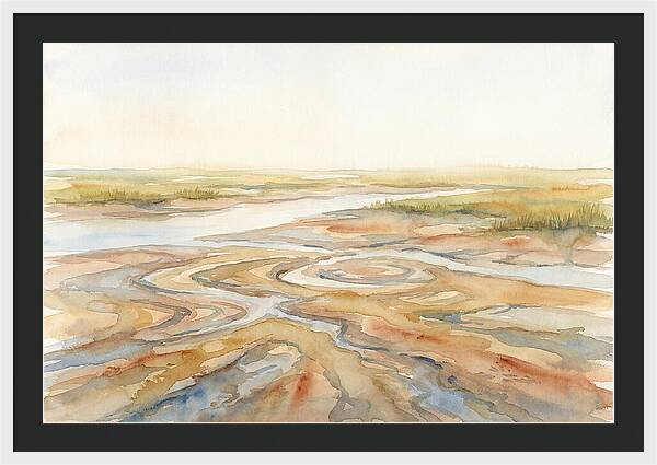 Salt Marsh Creek At Low Tide