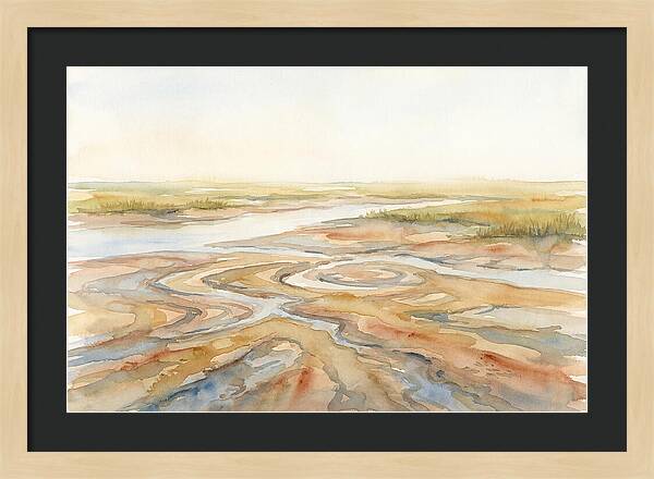 Salt Marsh Creek At Low Tide