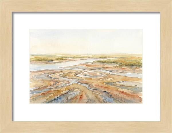 Salt Marsh Creek At Low Tide
