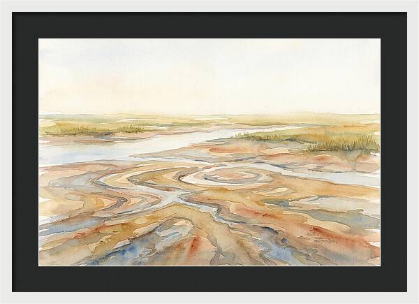 Salt Marsh Creek At Low Tide