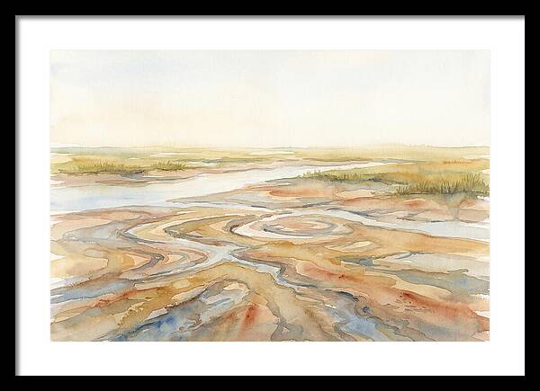 Salt Marsh Creek At Low Tide