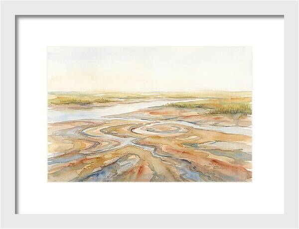 Salt Marsh Creek At Low Tide