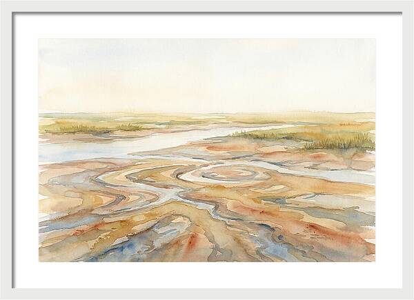 Salt Marsh Creek At Low Tide