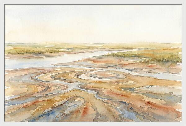 Salt Marsh Creek At Low Tide