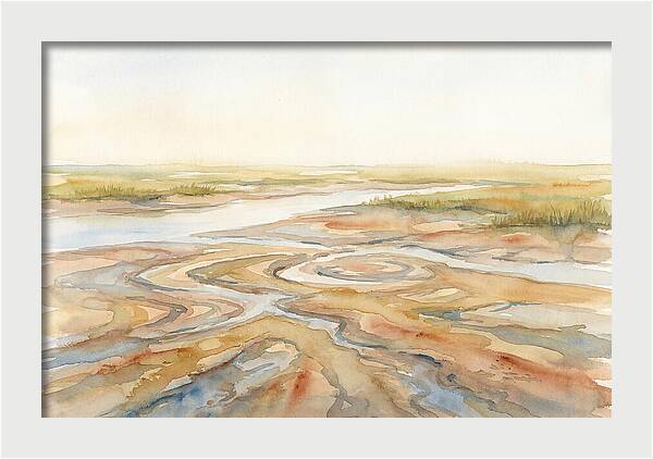 Salt Marsh Creek At Low Tide