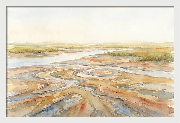 Salt Marsh Creek At Low Tide