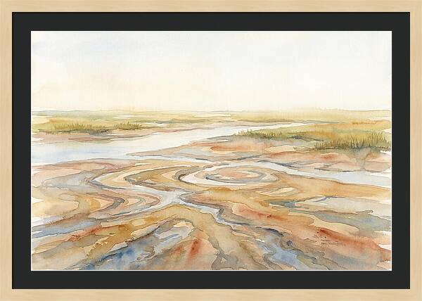 Salt Marsh Creek At Low Tide