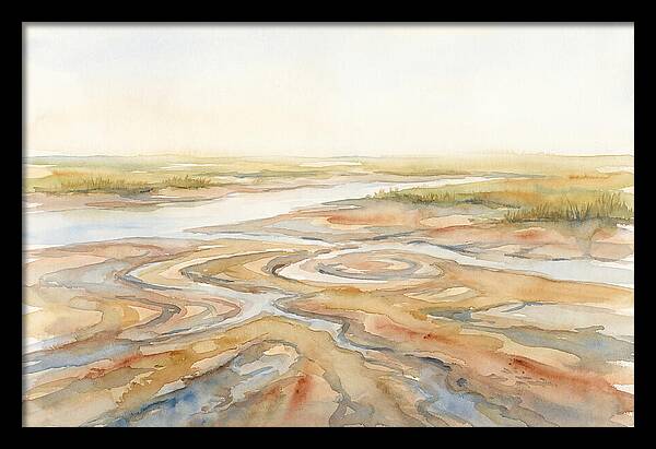 Salt Marsh Creek At Low Tide