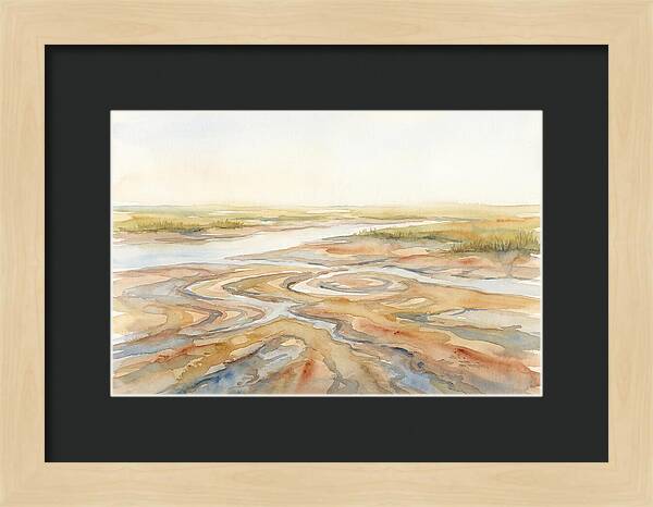 Salt Marsh Creek At Low Tide