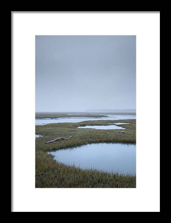 Salt Marsh Serenity