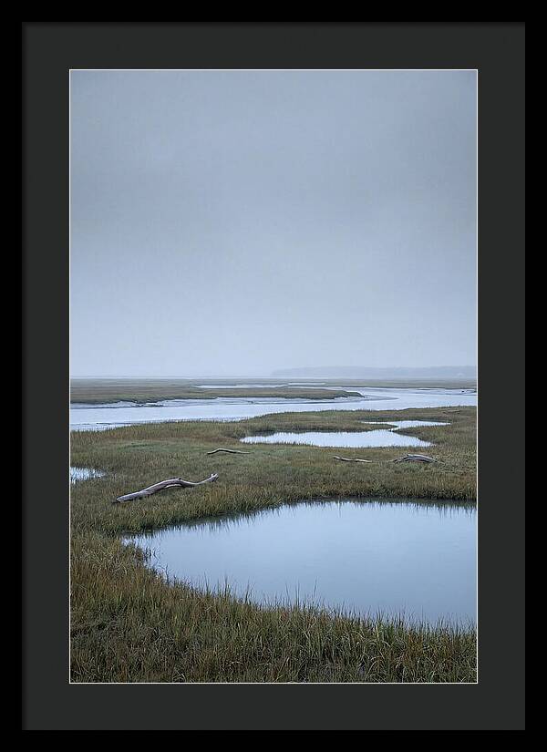 Salt Marsh Serenity