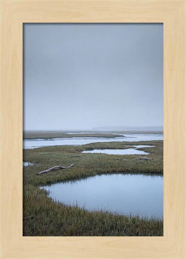 Salt Marsh Serenity