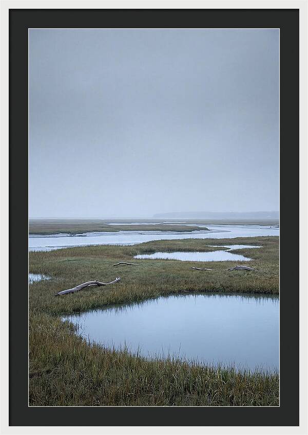 Salt Marsh Serenity