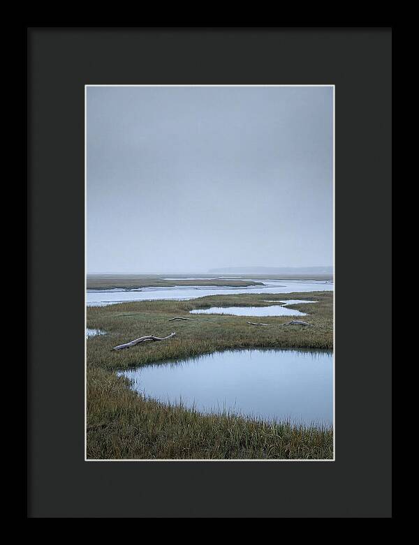 Salt Marsh Serenity