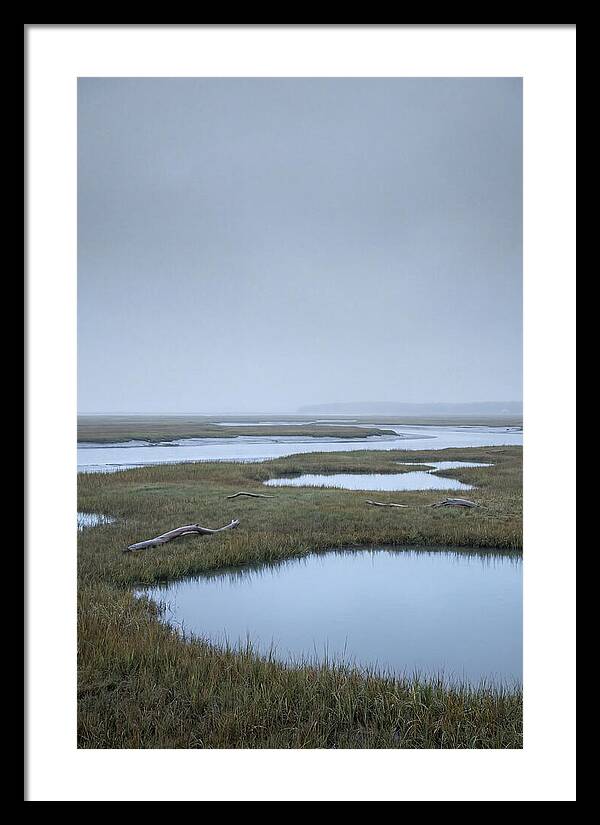 Salt Marsh Serenity