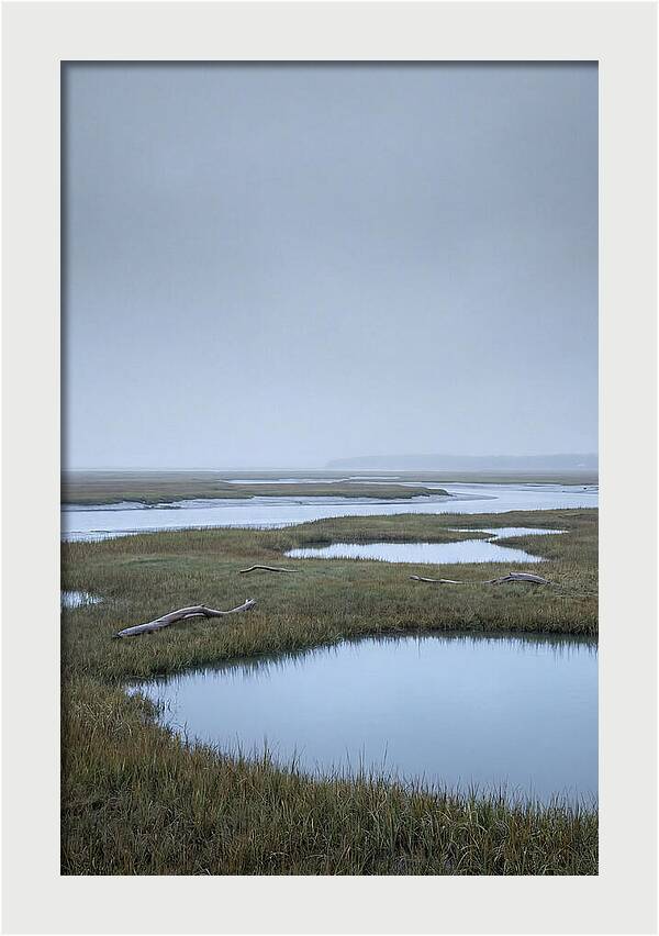 Salt Marsh Serenity