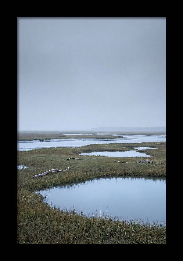 Salt Marsh Serenity