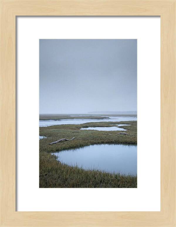 Salt Marsh Serenity