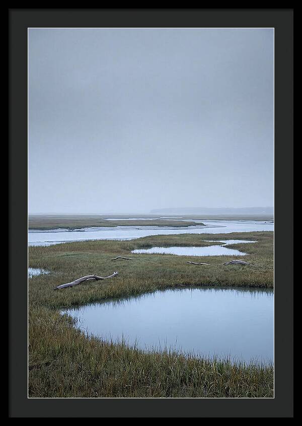 Salt Marsh Serenity