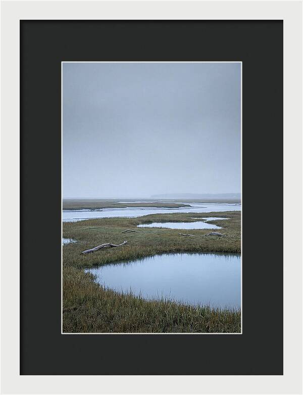 Salt Marsh Serenity