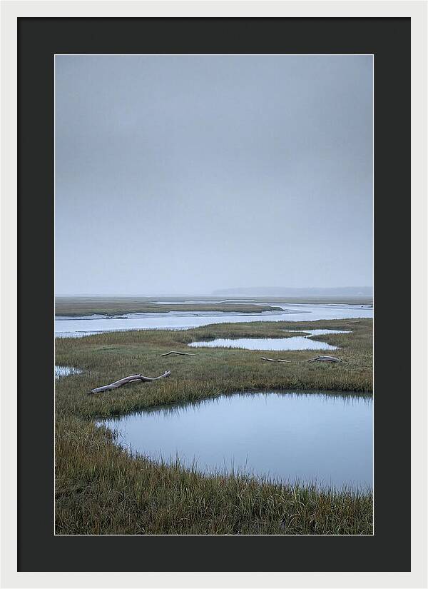 Salt Marsh Serenity
