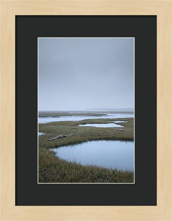 Salt Marsh Serenity