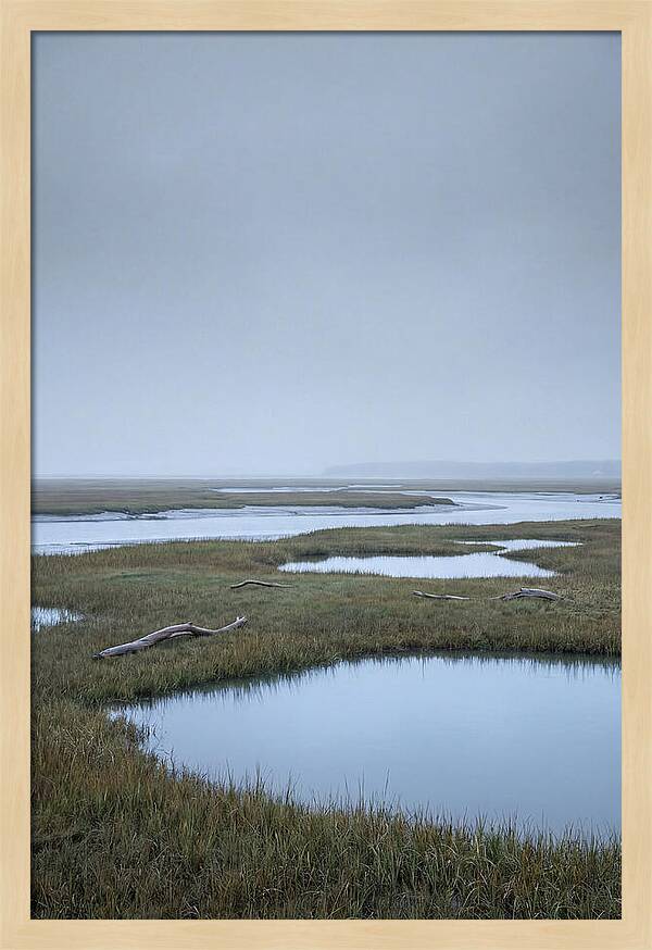 Salt Marsh Serenity