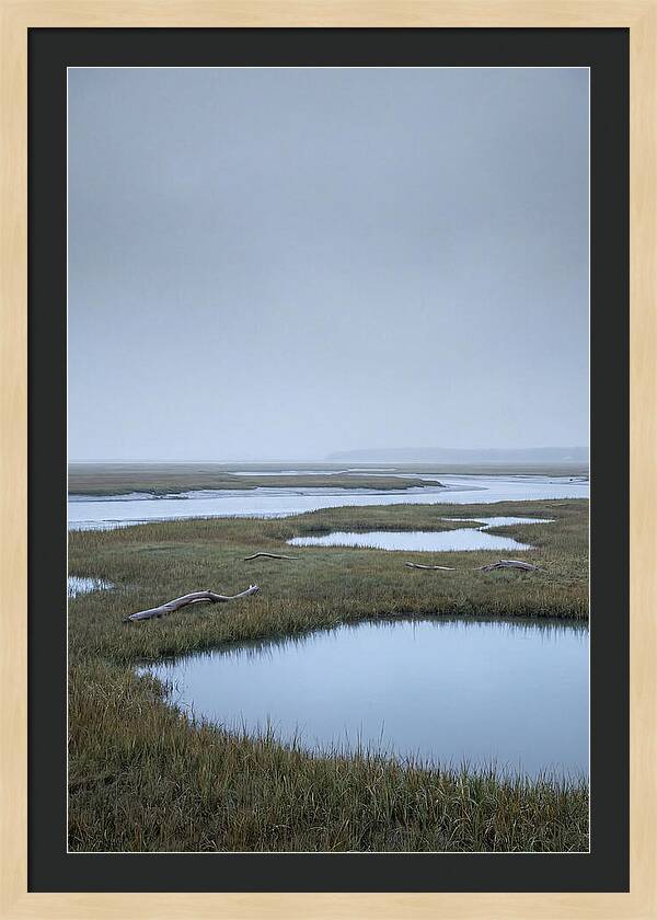 Salt Marsh Serenity