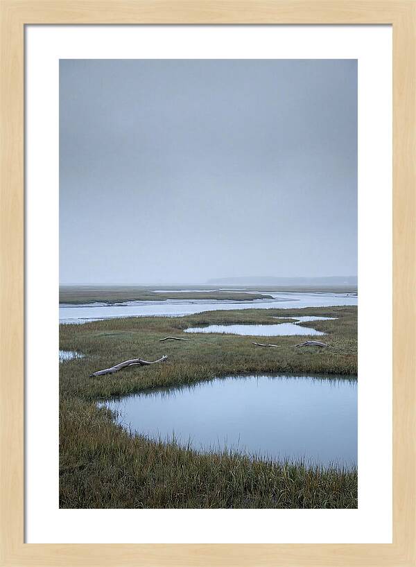 Salt Marsh Serenity