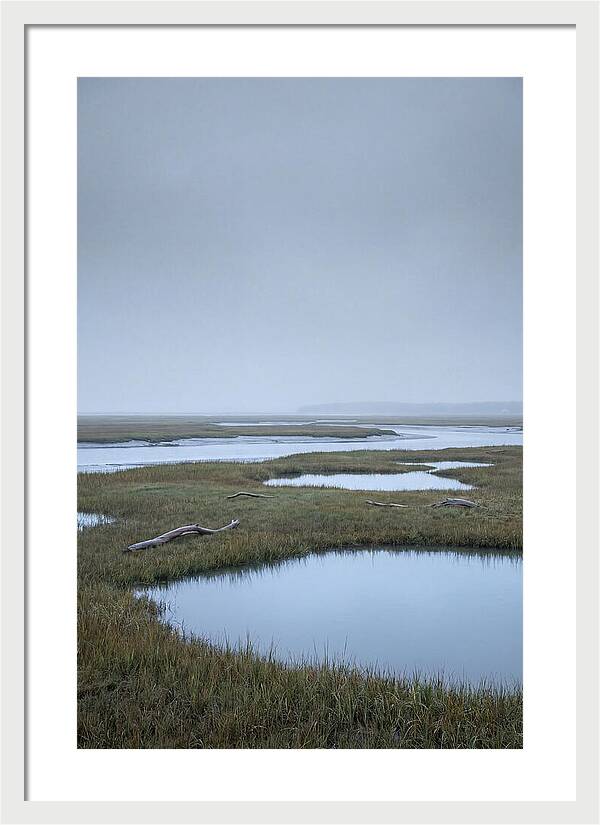 Salt Marsh Serenity