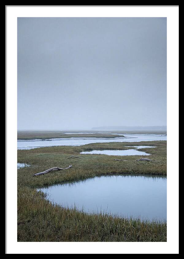 Salt Marsh Serenity