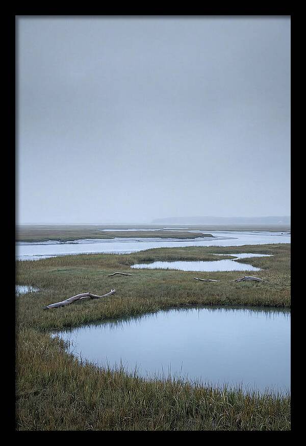 Salt Marsh Serenity