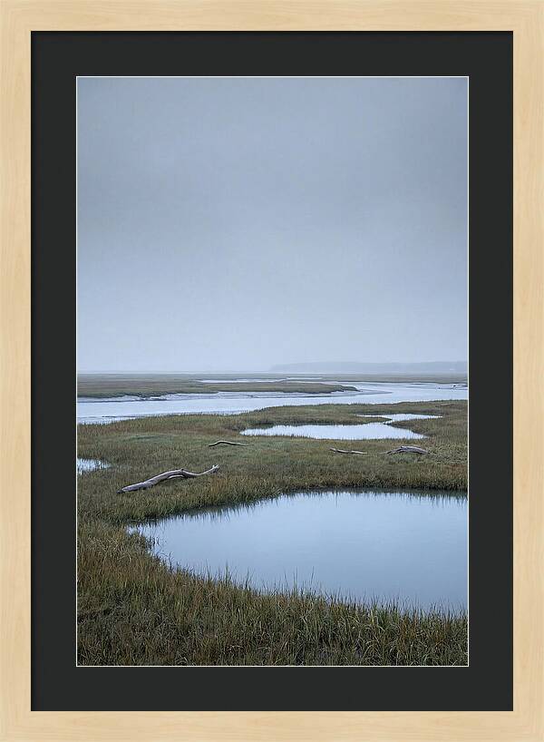 Salt Marsh Serenity