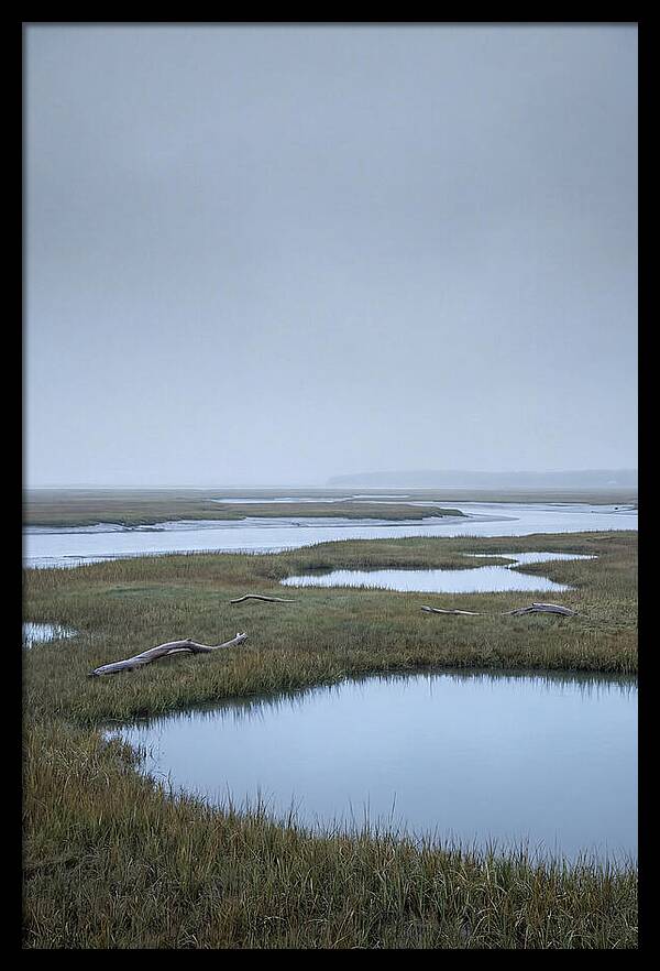 Salt Marsh Serenity