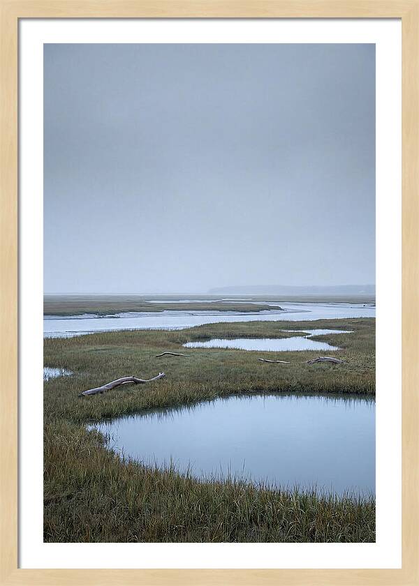 Salt Marsh Serenity